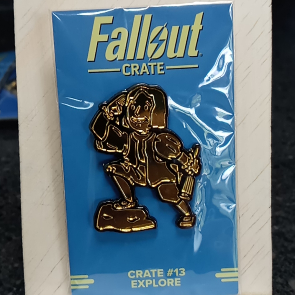 NIP Fallout pin #13